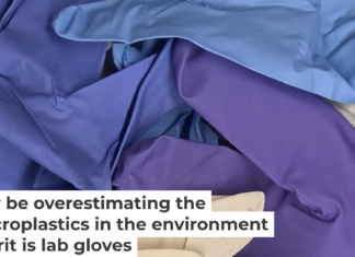 Gloves used in the laboratory that led to microplastic overestimation. Madeline Clough